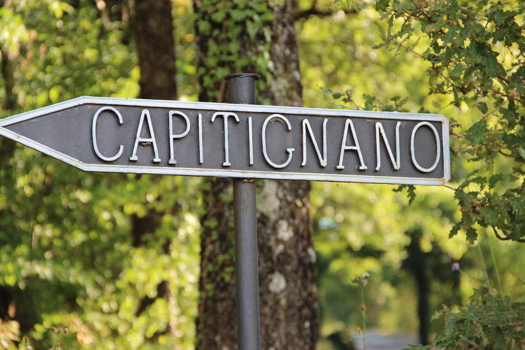 Podere Capitignano Borgo San Lorenzo Ngoại thất bức ảnh